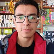 Clases virtuales y particulares